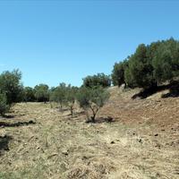 Land plot in Greece, Central Macedonia, Center