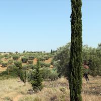 Земельный участок в Греции, Центральная Македония, Центр