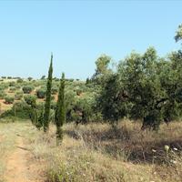 Земельный участок в Греции, Центральная Македония, Центр