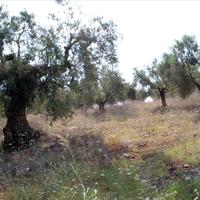 Земельный участок в Греции, Центральная Македония, Центр