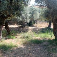Land plot in Greece, Central Macedonia, Center