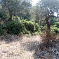 Land plot in Greece, Central Macedonia, Center