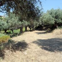 Land plot in Greece, Central Macedonia, Center