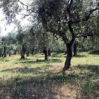 Земельный участок в Греции, Кавала