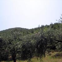 Земельный участок в Греции, Кавала