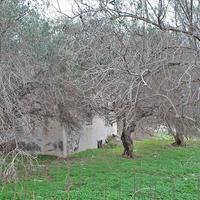 Land plot in Greece, Paro Dzongkhag, Paro