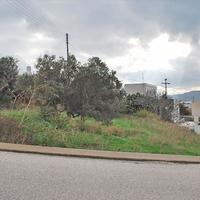 Land plot in Greece, Paro Dzongkhag, Paro