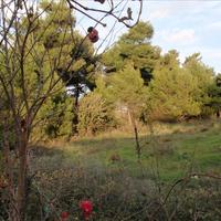 Земельный участок в Греции, Аттика, Афины