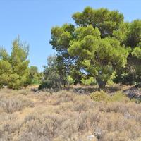 Land plot in Greece, Attica, Athens, 2128 sq.m.
