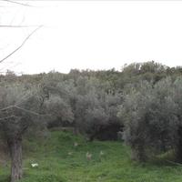 Land plot in Greece, Central Macedonia, Center