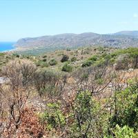 Land plot in Greece, Crete, 10061 sq.m.