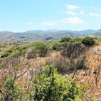 Land plot in Greece, Crete, 10061 sq.m.