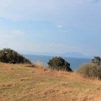 Land plot in Greece, Peloponnese, 10450 sq.m.