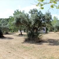 Land plot in Greece, Central Macedonia, Center, 8620 sq.m.