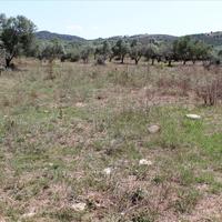 Land plot in Greece, Central Macedonia, Center, 2000 sq.m.