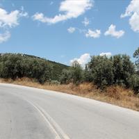 Land plot in Greece, Central Macedonia, Center, 5568 sq.m.