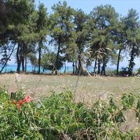Land plot in Greece, Central Macedonia, Center