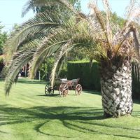 Другое в Греции, Центральная Македония, Центр, 315 кв.м.