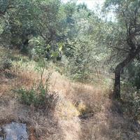 Land plot in Greece, Ionian Islands