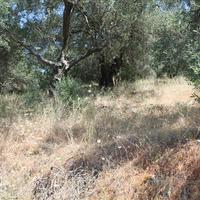 Land plot in Greece, Ionian Islands
