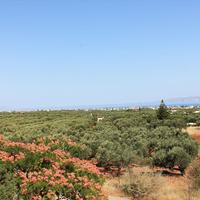 Land plot in Greece, Crete, Irakleion, 3300 sq.m.
