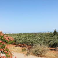 Land plot in Greece, Crete, Irakleion, 3300 sq.m.
