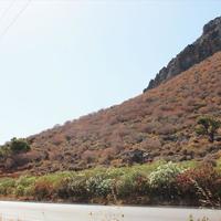 Land plot in Greece, Crete, Irakleion, 5166 sq.m.