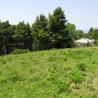 Land plot in Greece, Central Macedonia, Center, 6500 sq.m.