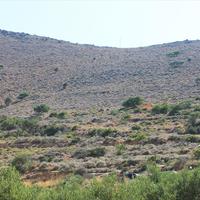 Land plot in Greece, Crete, Irakleion, 12000 sq.m.