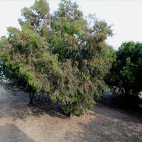 Hotel in Greece, Central Macedonia, Center, 730 sq.m.