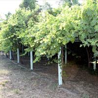 Hotel in Greece, Central Macedonia, Center, 730 sq.m.