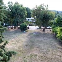 Hotel in Greece, Central Macedonia, Center, 730 sq.m.