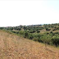 Land plot in Greece, Central Macedonia, Center, 9000 sq.m.