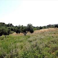 Land plot in Greece, Central Macedonia, Center, 9000 sq.m.