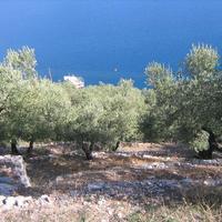 Land plot in Greece, Ionian Islands, 580 sq.m.