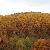 Land plot in Greece, Central Macedonia, Khal