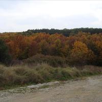 Land plot in Greece, Central Macedonia, Khal