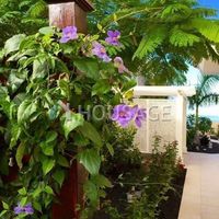 Villa in Spain, Canary Islands, Santa Cruz de Tenerife, 340 sq.m.