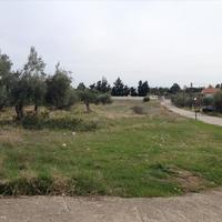 Land plot in Greece, Peloponnese, Kori, 7069 sq.m.