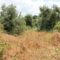 Земельный участок в Греции, Пелопоннес, 1200 кв.м.