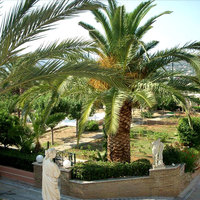 Villa in Greece, Attica, Athens, 750 sq.m.