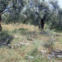 Land plot in Greece, Kavala