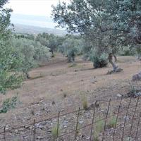 Земельный участок в Греции, 680 кв.м.