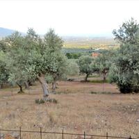 Земельный участок в Греции, 680 кв.м.