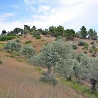 Земельный участок в Греции, 680 кв.м.