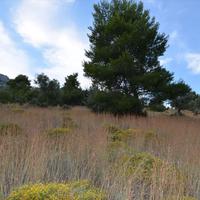 Земельный участок в Греции, 680 кв.м.