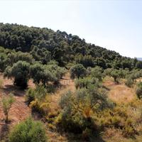 Другое в Греции, Центральная Македония, Центр, 206 кв.м.