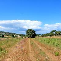 Land plot in Greece, Peloponnese, Ili, 12000 sq.m.