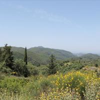 Land plot in Greece, Ionian Islands