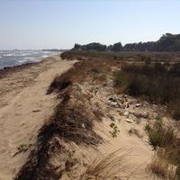 Земельный участок в Греции, Пелопоннес, Ili, 14000 кв.м.